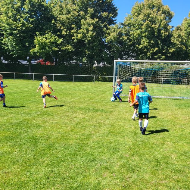 Camp 22523 FV Steinmauern